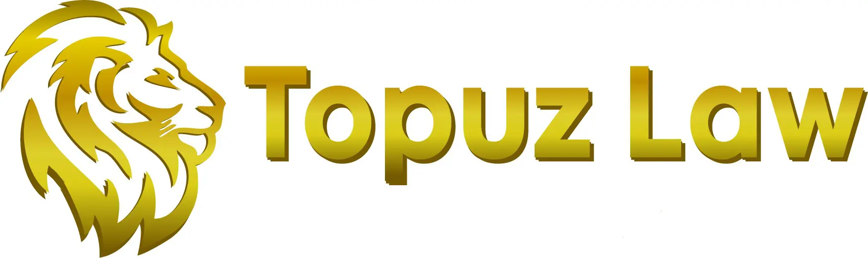 Logo Topuz Law